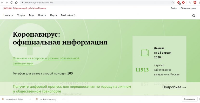 90% москвичей неправильно оформили пропуск по смс
